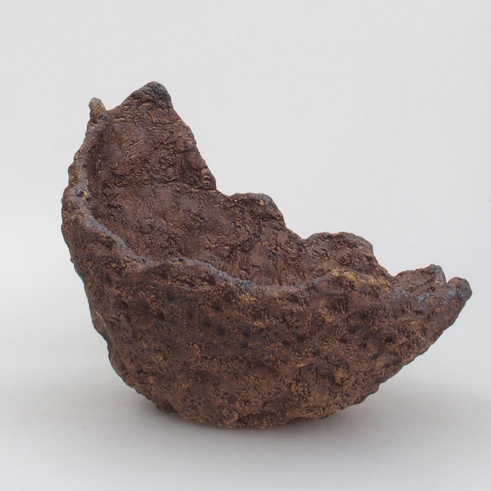 Conchiglia in ceramica 22 x 20 x 20,5 cm , colore marrone