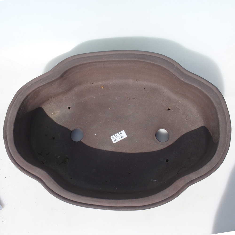 Ciotola bonsai 53 x 38 x 14 cm - marrone