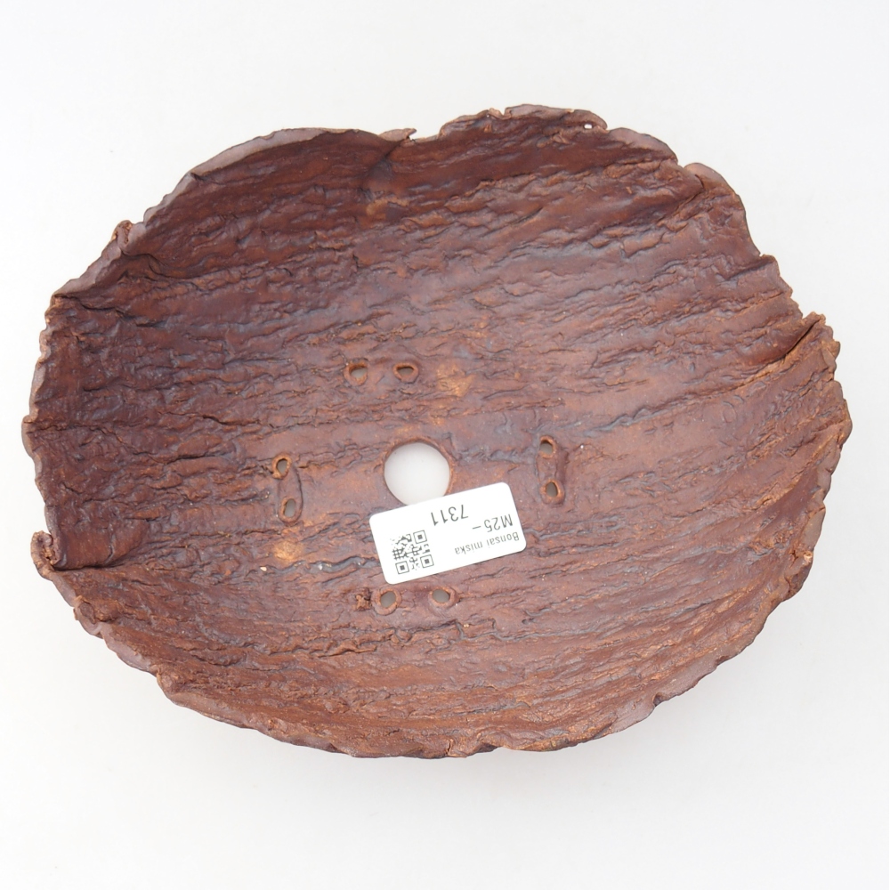 Conchiglia in ceramica 20 x 16 x 6 cm , colore marrone