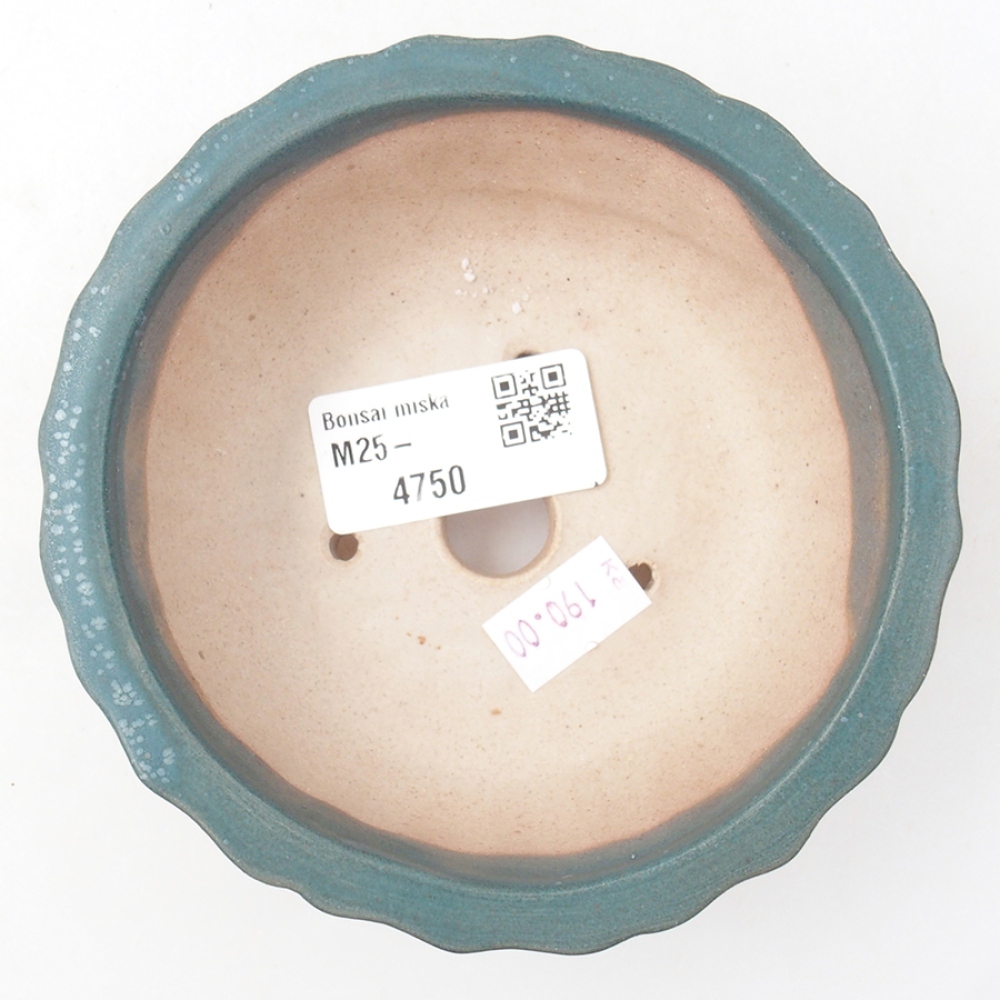 Ciotola bonsai in ceramica 11 x 11 x 5 cm, colore blu