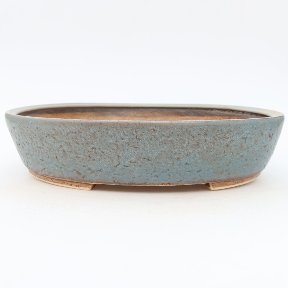 Vaso in ceramica per bonsai 27 x 24 x 5,5 cm, colore blu