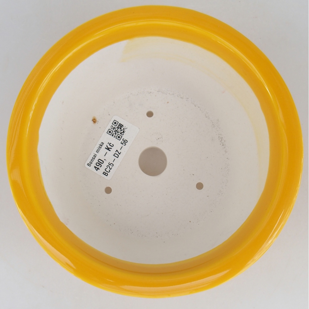 Ciotola bonsai in ceramica 16 x 16 x 8,5 cm, giallo