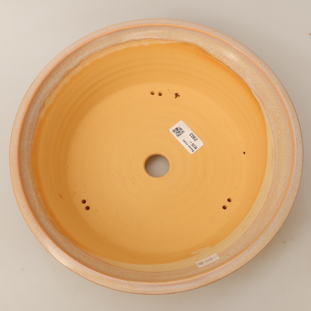 Vaso da bonsai in ceramica 29 x 29 x 8,5 cm, colore beige