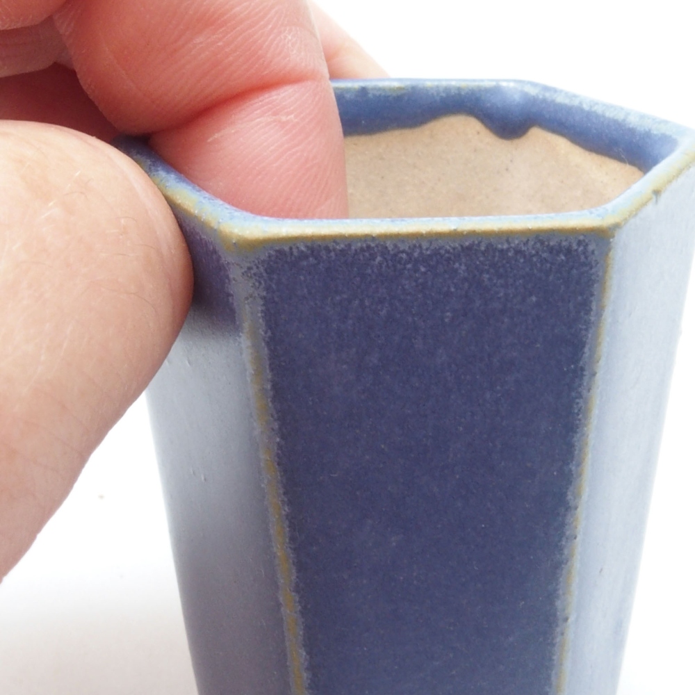 Mini bonsai 4,5 x 4,5 x 6,5 cm, colore blu