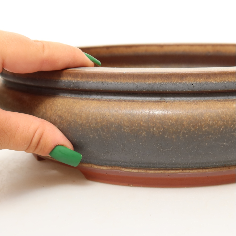 Conchiglia in ceramica  27 x 27 x 7,5 cm, colore marrone