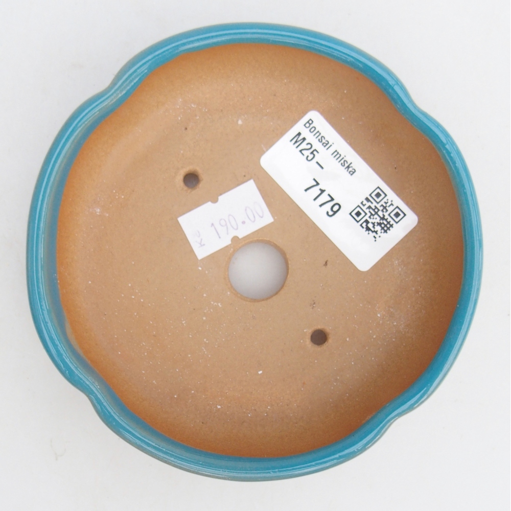 Ciotola bonsai in ceramica 26 x 26 x 8 cm, colore rosso