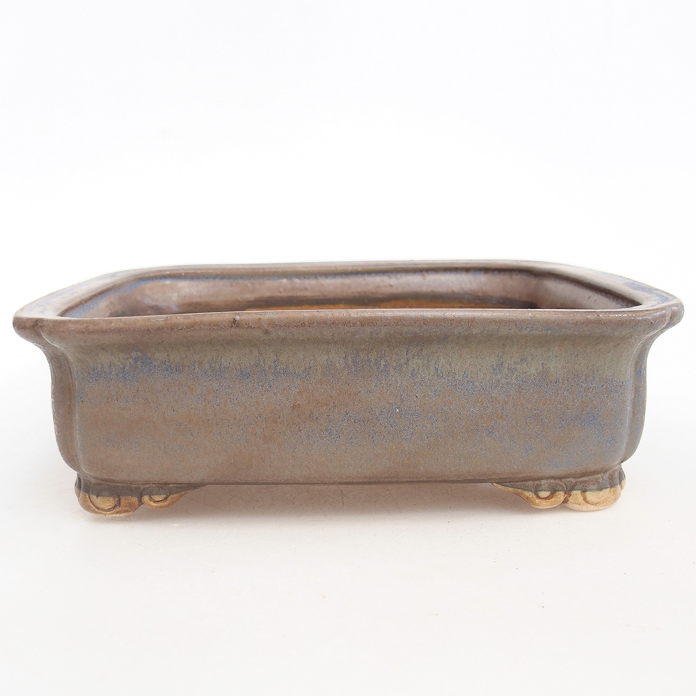 Ciotola bonsai in ceramica 20 x 17 x 6 cm, colore blu