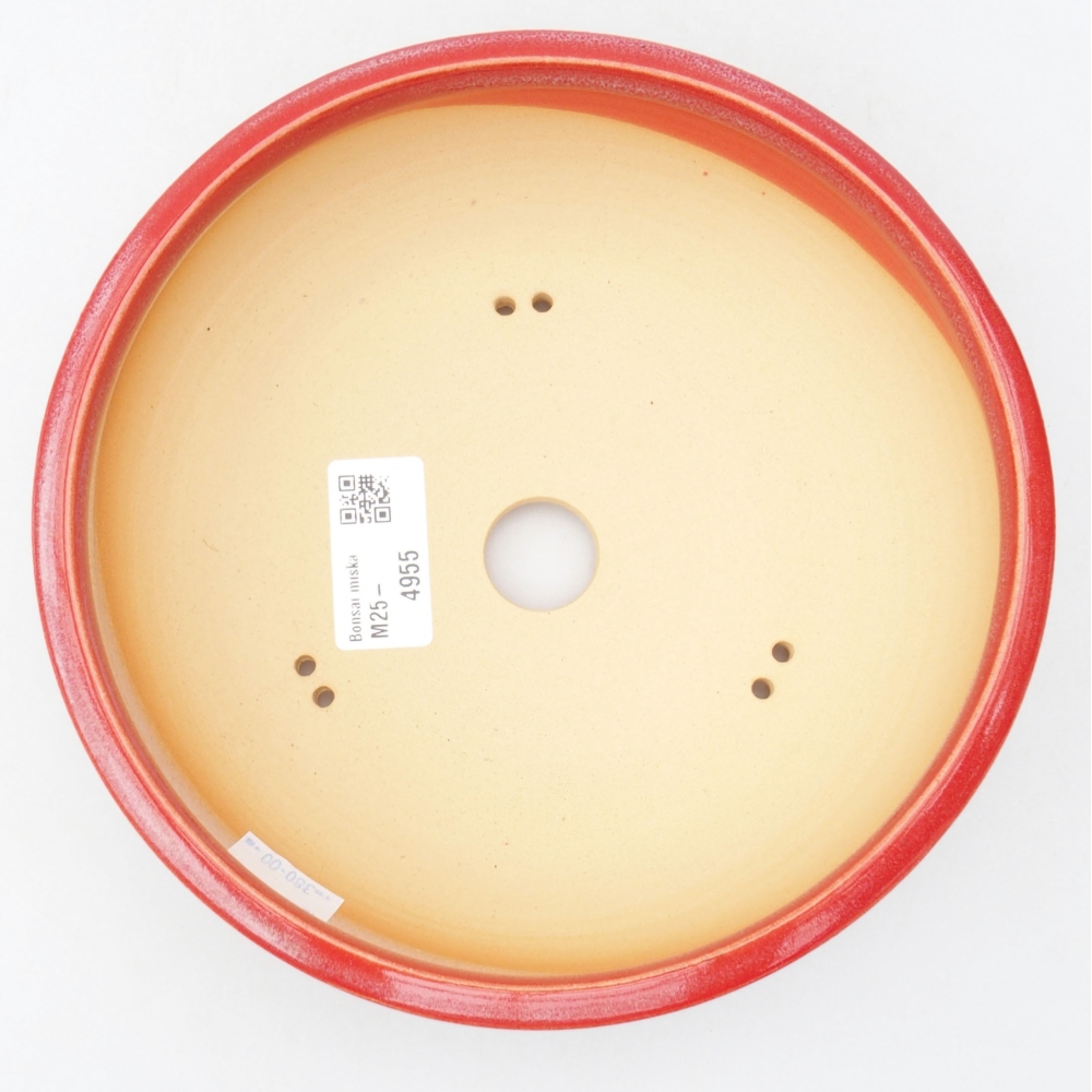 Ciotola per bonsai in ceramica 19 x 19 x 5,5 cm, colore rosso