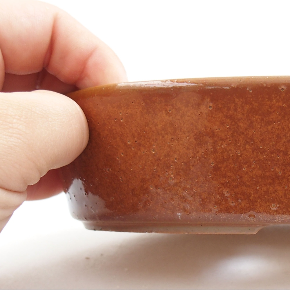 Ciotola bonsai in ceramica 22 x 17 x 5 cm, verde