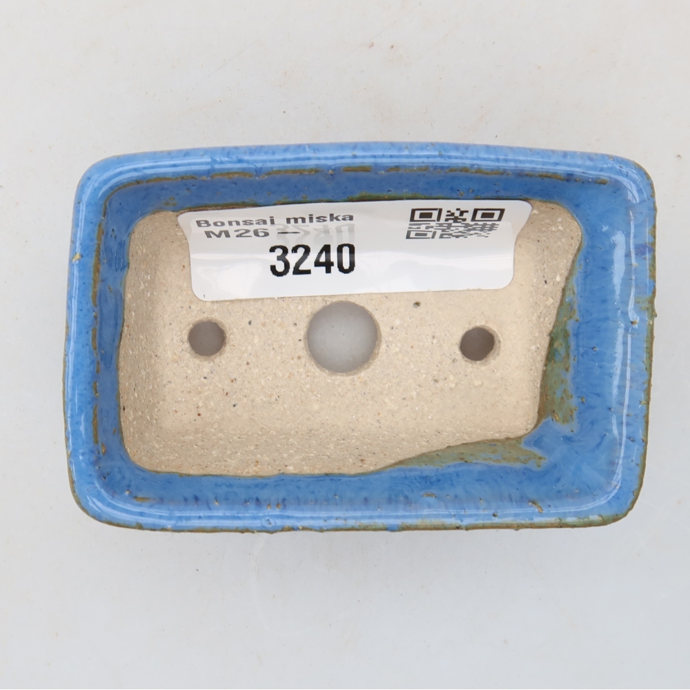 Ciotola per bonsai in ceramica 6,5 x 4 x 2,5 cm, colore blu