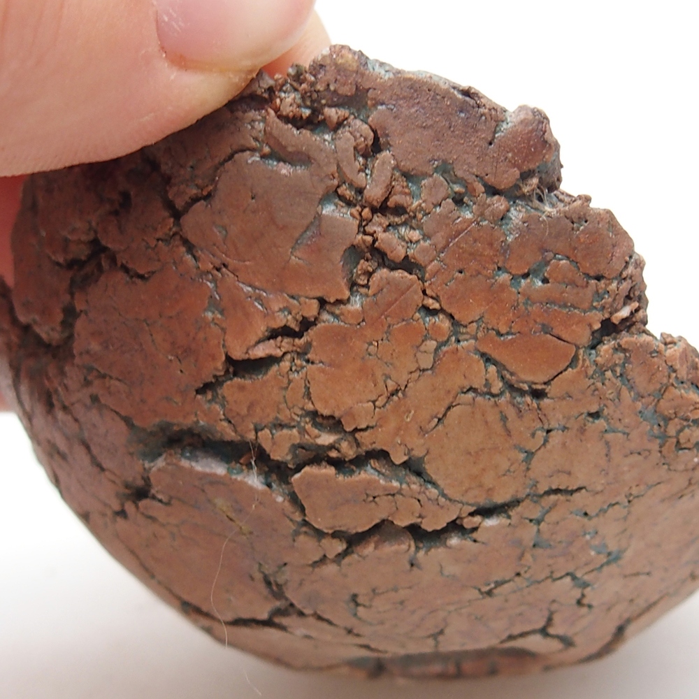 Conchiglia in ceramica 7,5 x 7 x 4 cm , colore verde