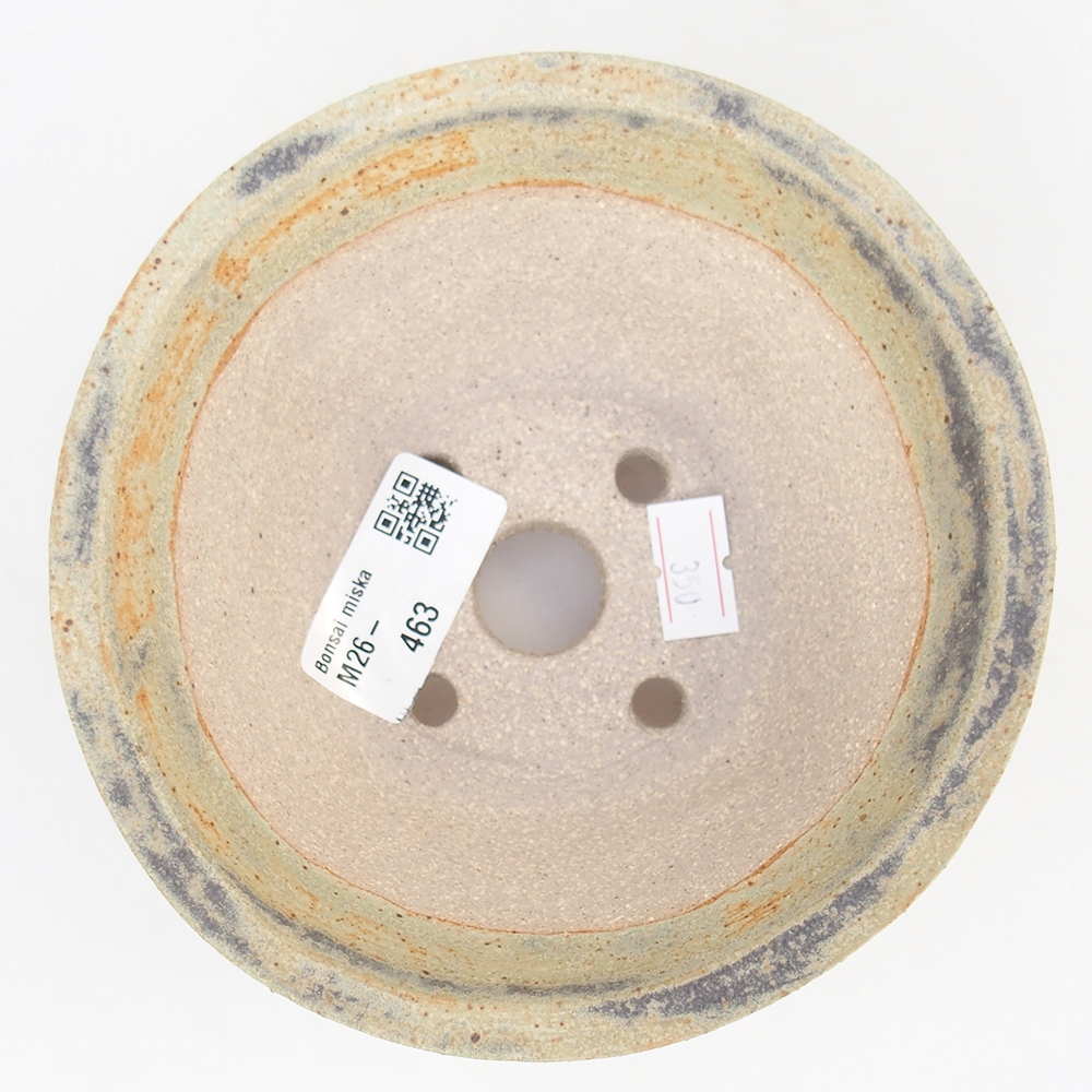 Ciotola bonsai in ceramica 13,5 x 13,5 x 6,5 cm, verde