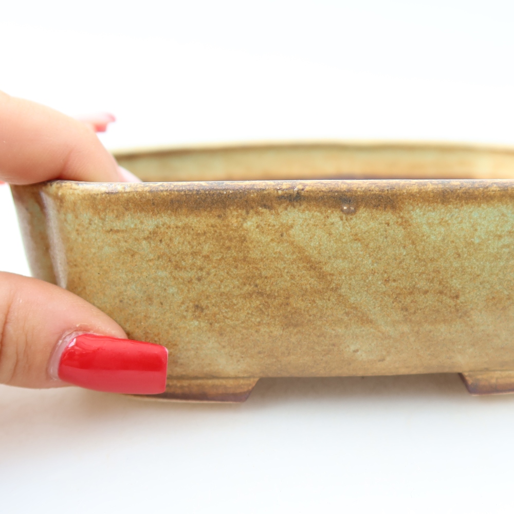 Vaso da bonsai in ceramica 13,5 x 12 x 4 cm, colore verde