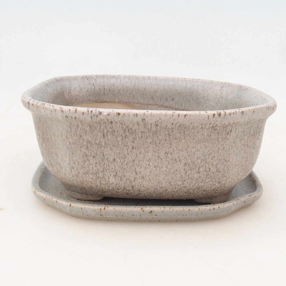 Ciotola bonsai + piattino H32 - beige