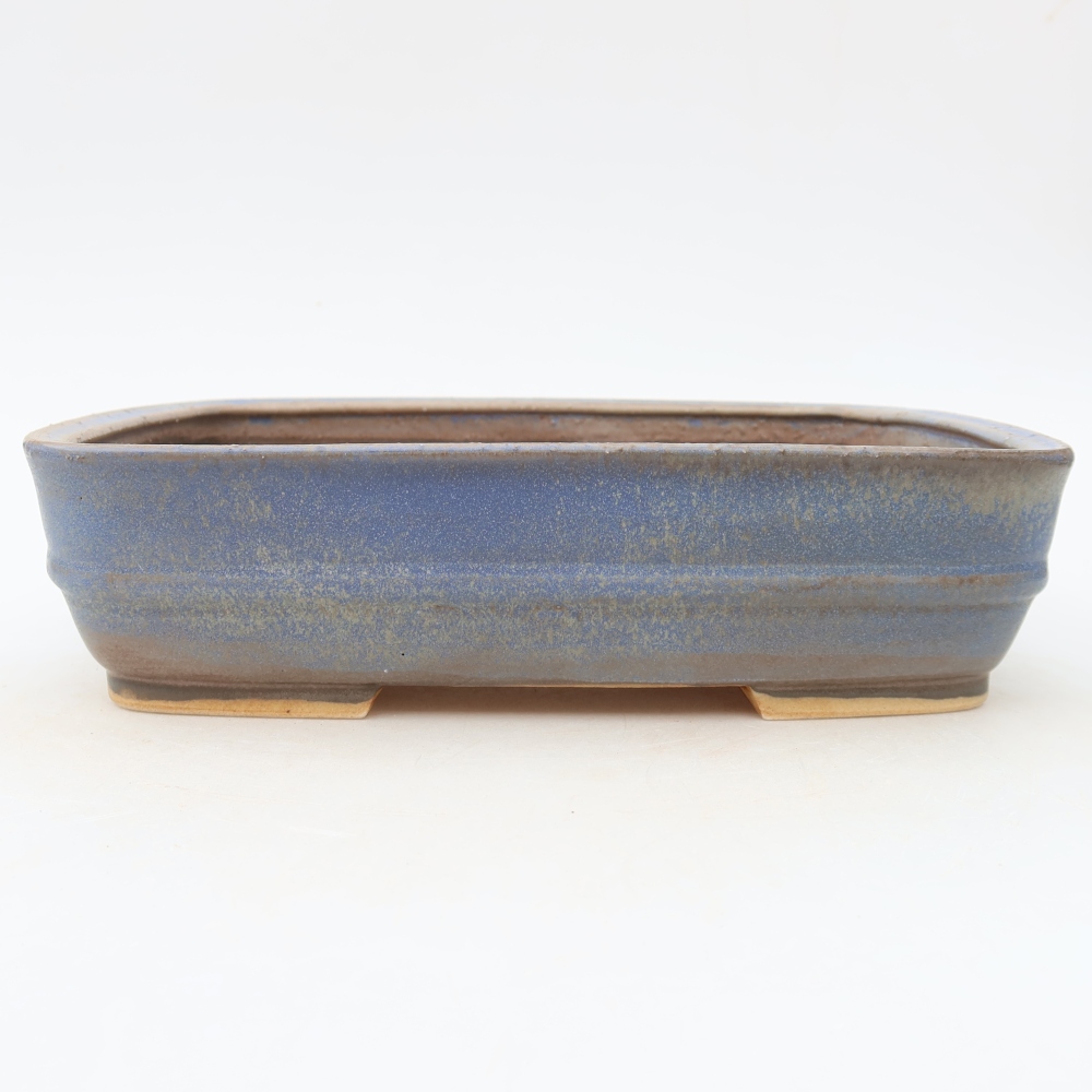 Vaso da bonsai in ceramica 23 x 19 x 6 cm, colore blu