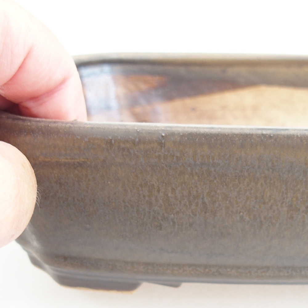 Ciotola per bonsai in ceramica 21 x 18 x 6 cm, marrone