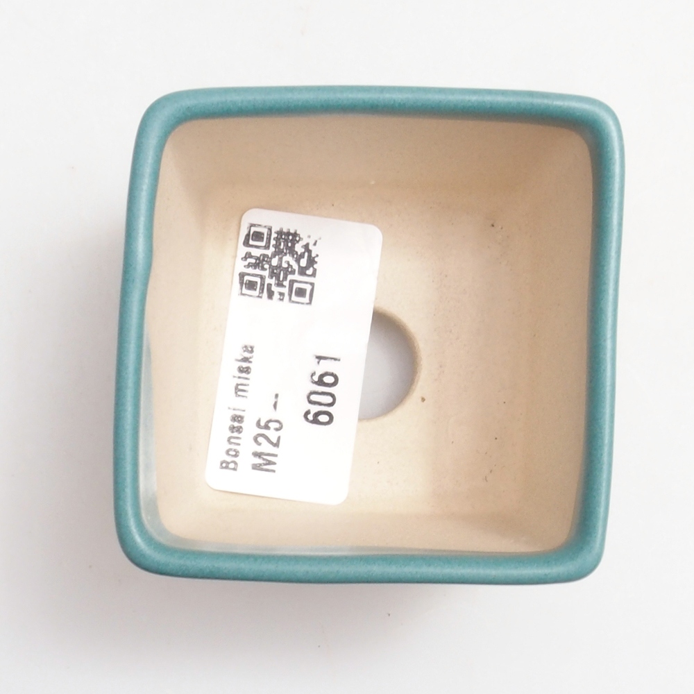 Ciotola bonsai in ceramica 6,5 x 5,5 x 4 cm, colore blu