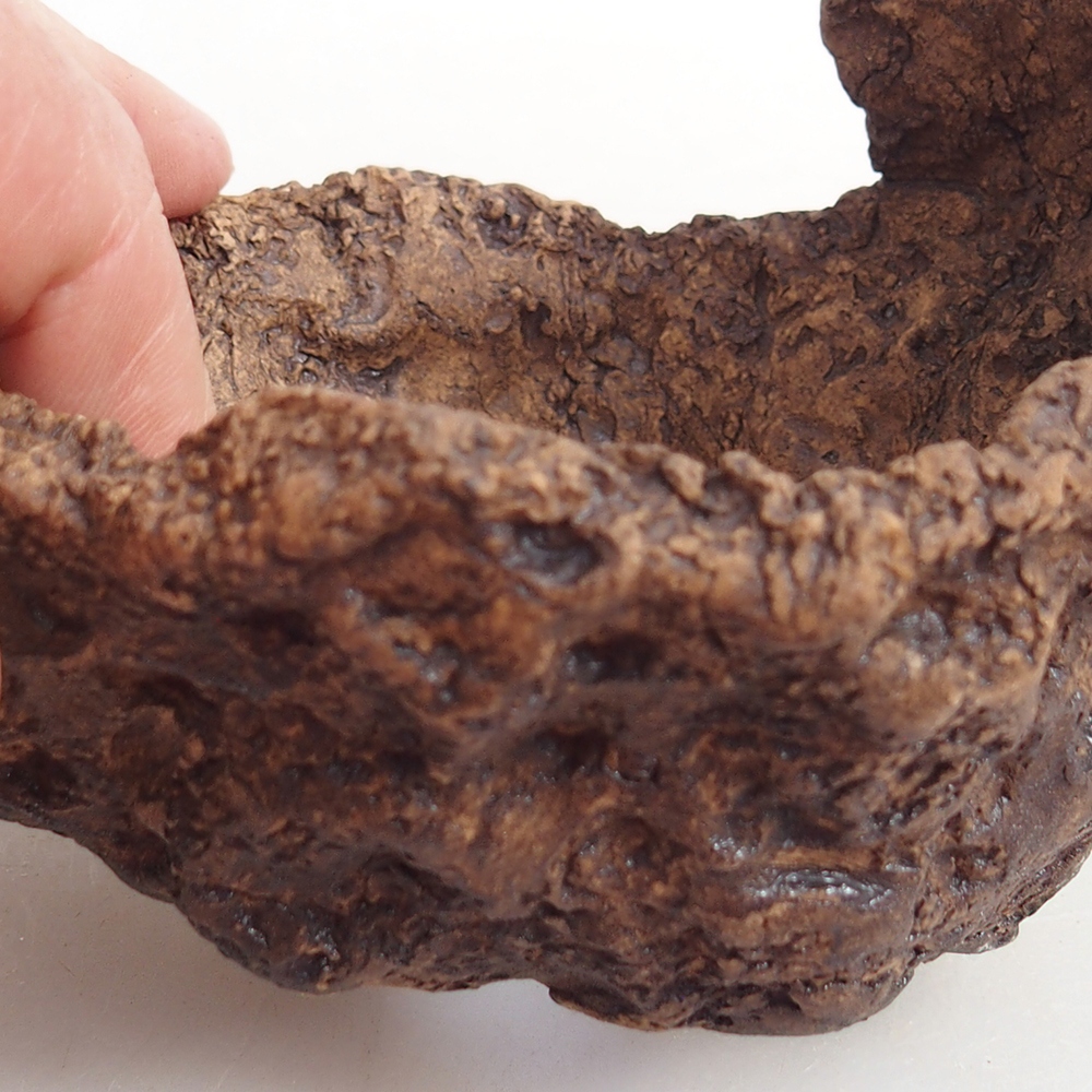 Conchiglia in ceramica 9,5 x 9 x 8,5 cm , colore marrone