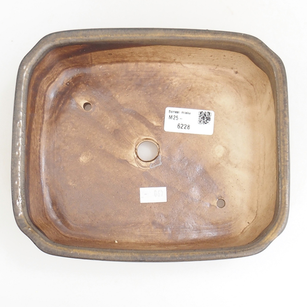 Ciotola per bonsai in ceramica 21 x 18 x 6 cm, marrone