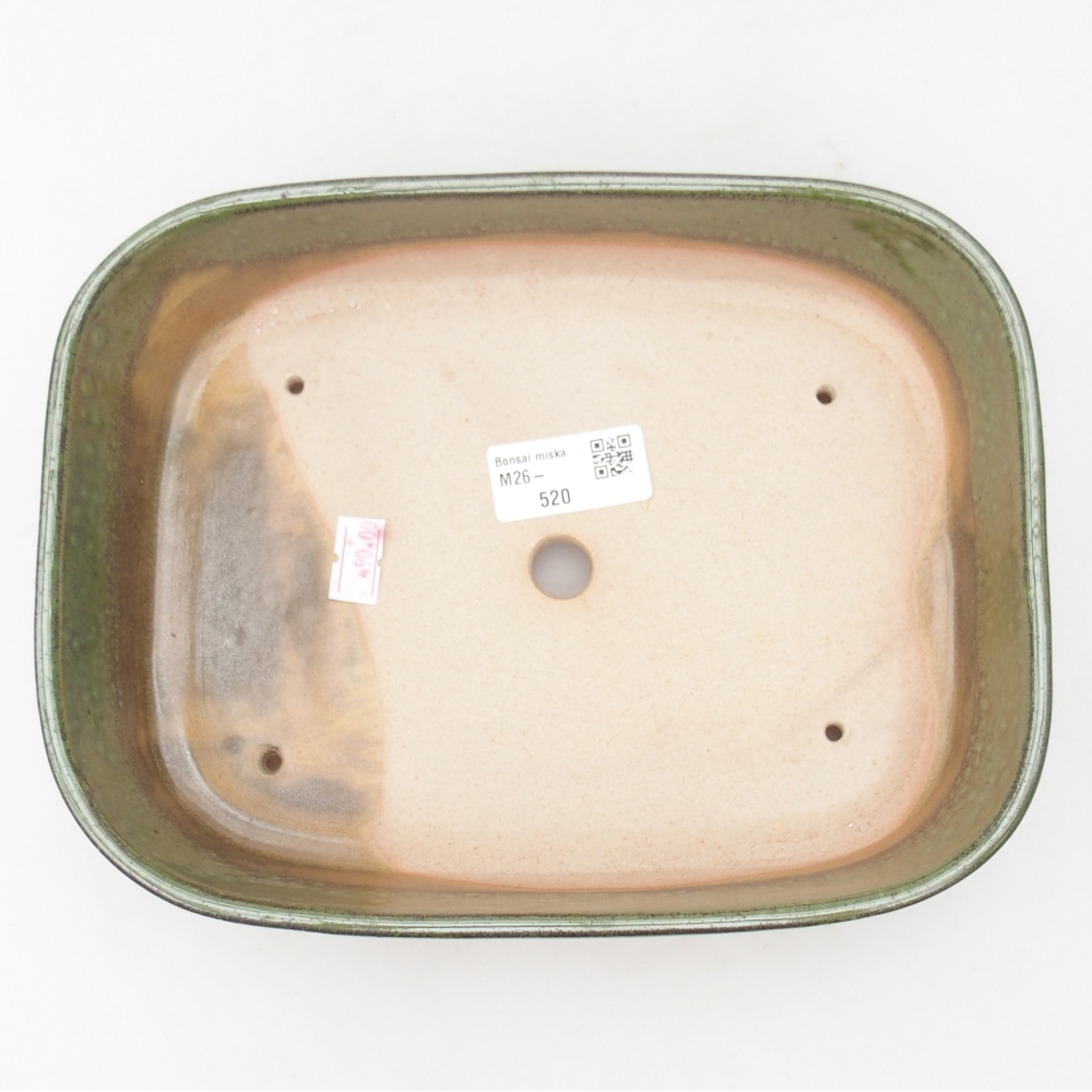 Ciotola per bonsai in ceramica 22,5 x 17 x 6 cm, verde