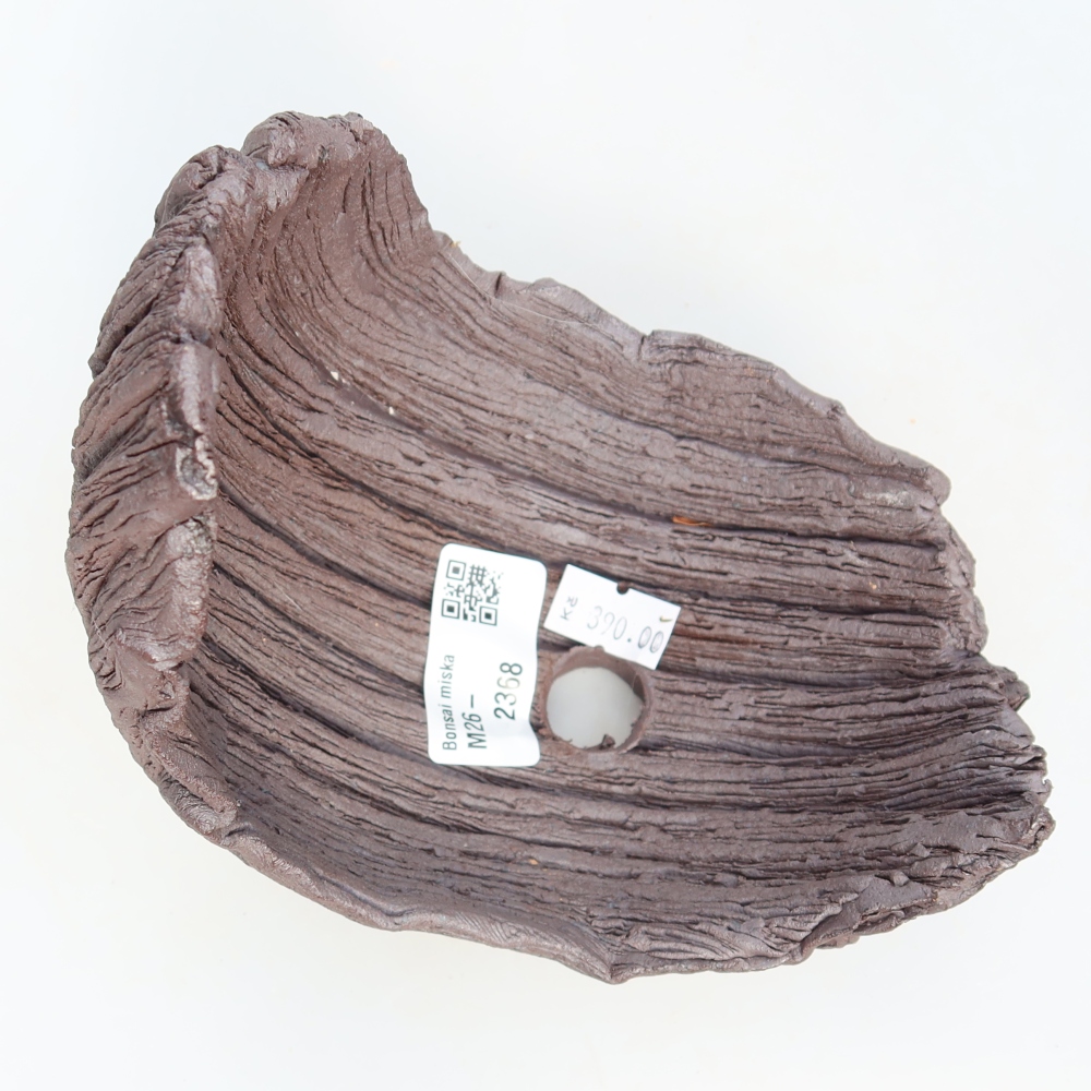 Conchiglia in ceramica  13,5 x 11 x 13,5 cm, colore marrone