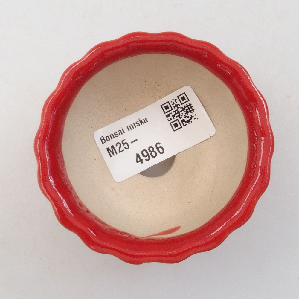 Mini bonsai 7 x 7 x 3,5 cm, colore rosso