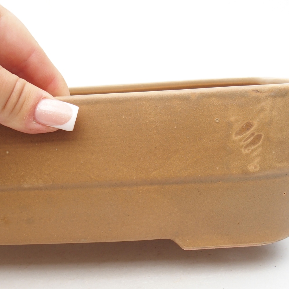 Ciotola bonsai in ceramica 27,5 x 20,5 x 7,5 cm, colore beige