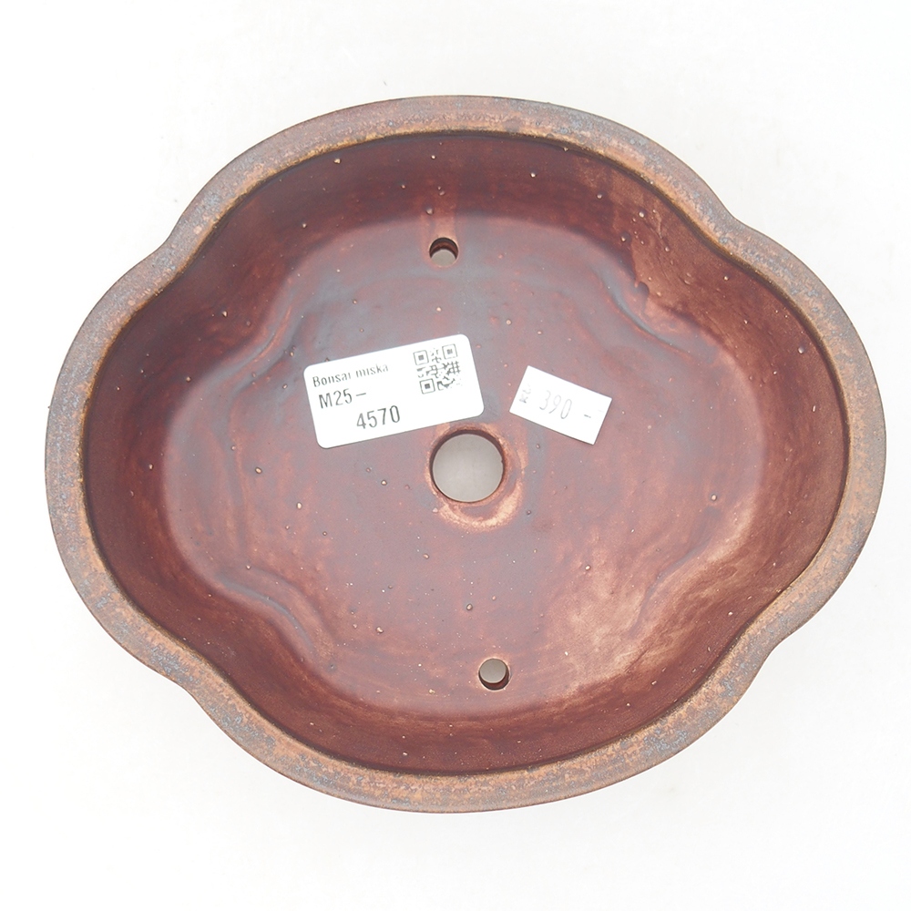 Ciotola bonsai in ceramica 17 x 15,5 x 5,5 cm, marrone