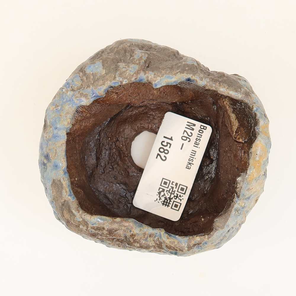 Conchiglia in ceramica  6 x 5 x 5 cm, colore blu