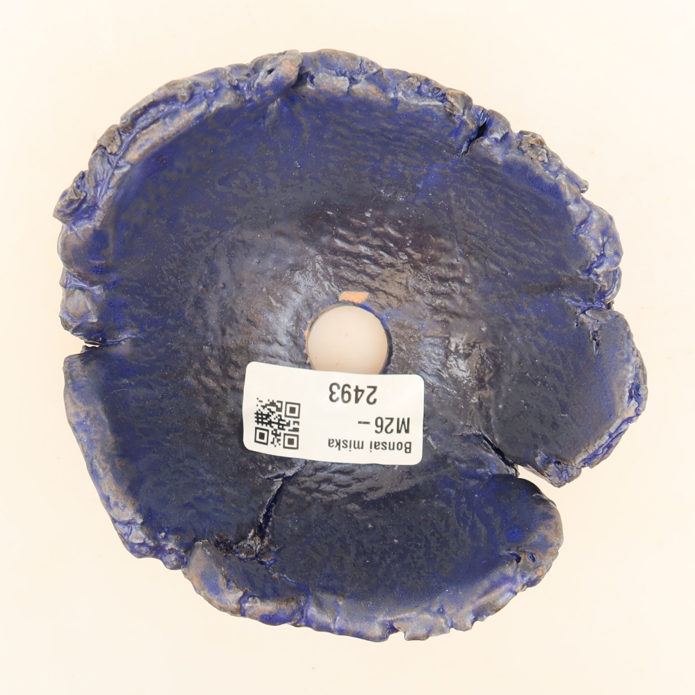 Guscio in ceramica  11,5 x 10,5 x 6,5 cm, colore blu