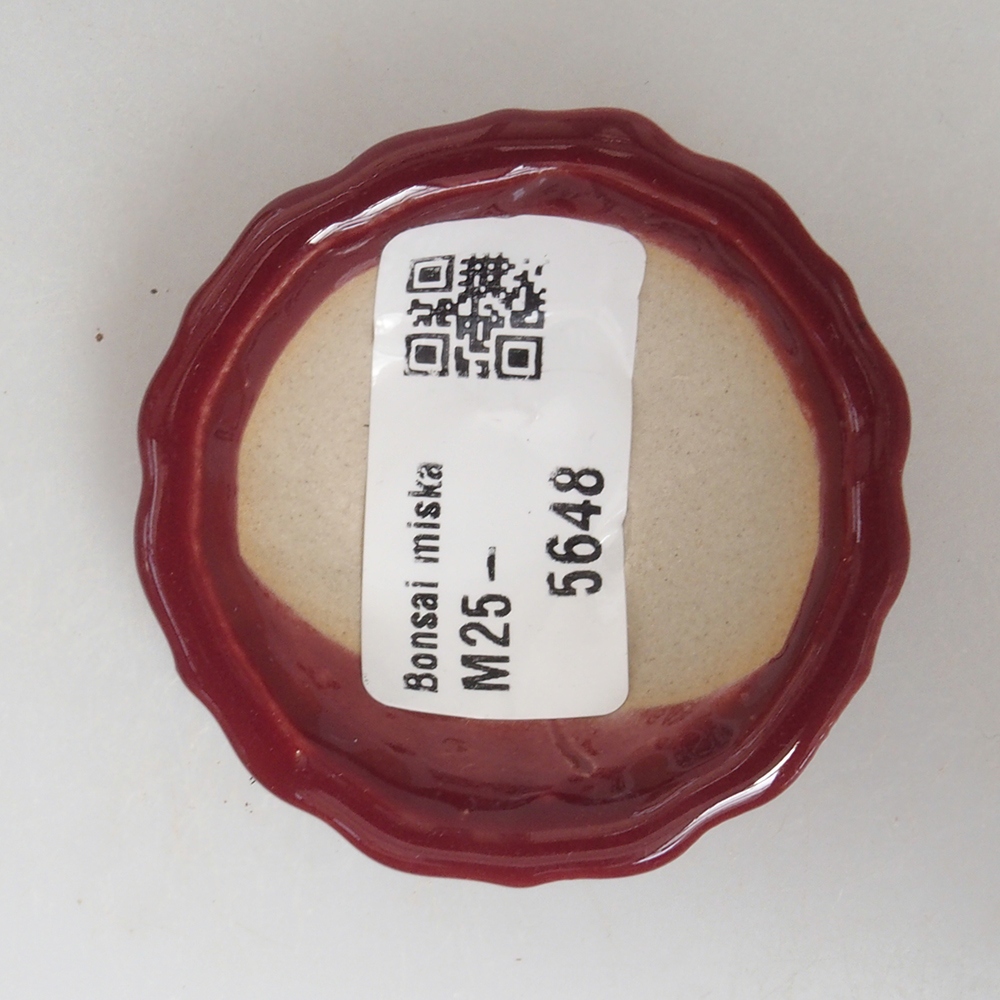 Mini bonsai 5 x 5 x 1,5 cm, colore bordeaux