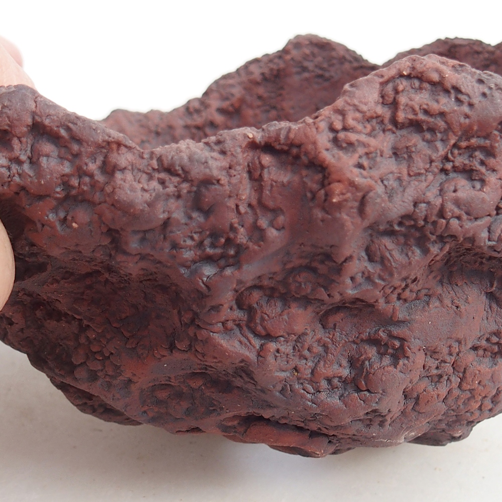 Conchiglia in ceramica 13 x 11 x 12 cm , colore marrone