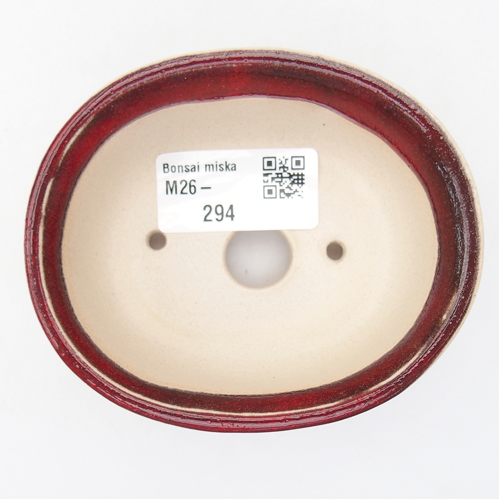 Mini bonsai 9 x 8 x 4,5 cm, colore rosso