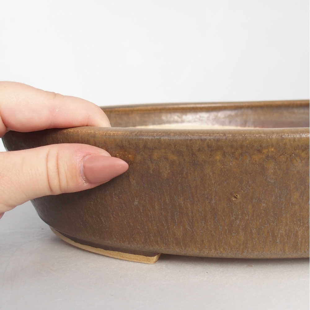 Ciotola per bonsai in ceramica 31,5 x 27,5 x 6,5 cm, marrone