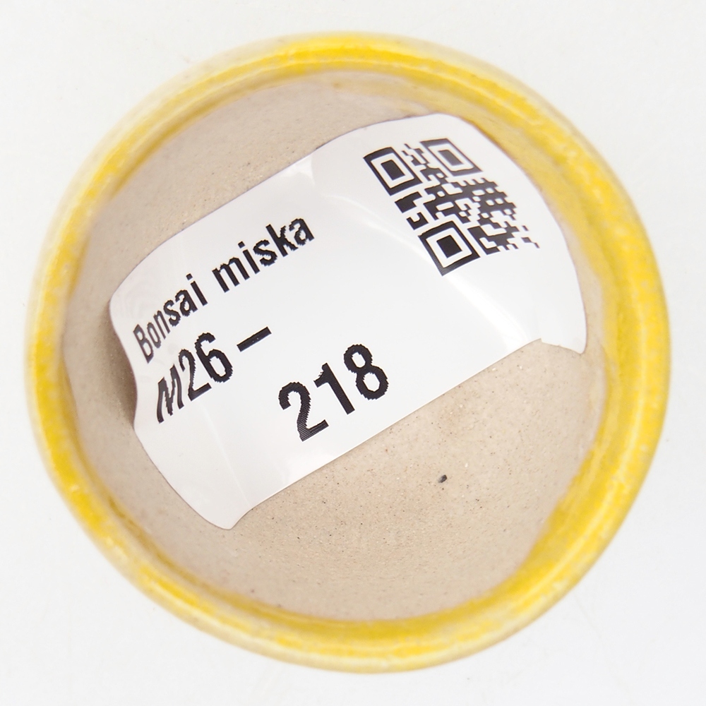Mini bonsai 4 x 4 x 2,5 cm, giallo