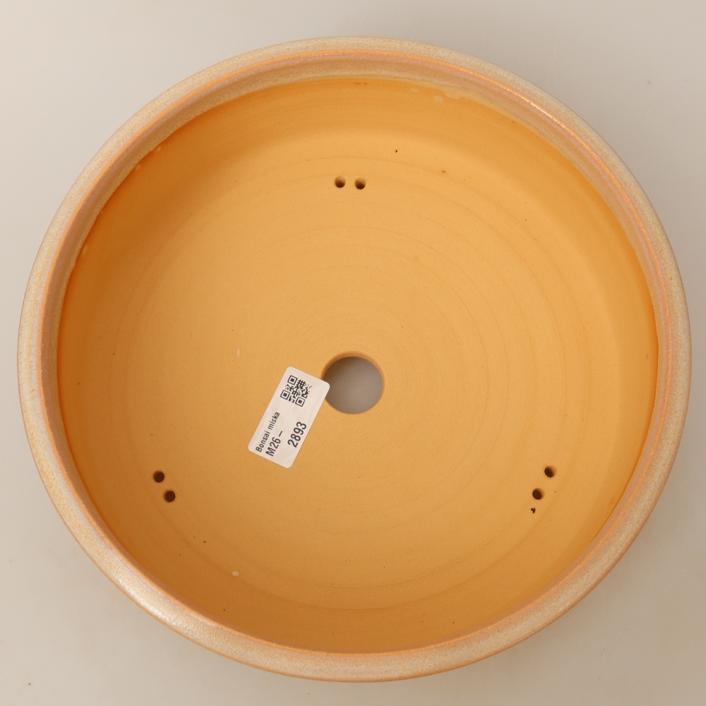 Vaso da bonsai in ceramica 24,5 x 24,5 x 8 cm, colore beige
