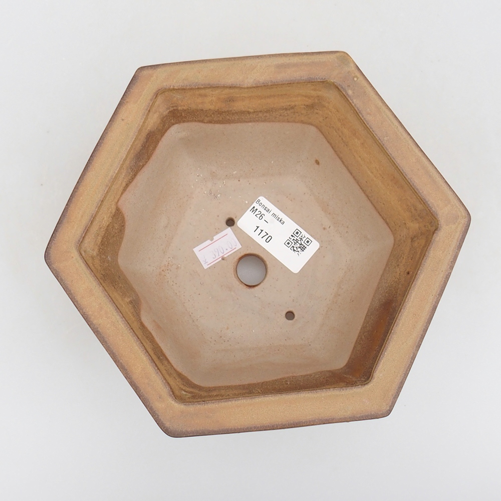 Ciotola per bonsai in ceramica 18 x 16 x 9 cm, colore beige