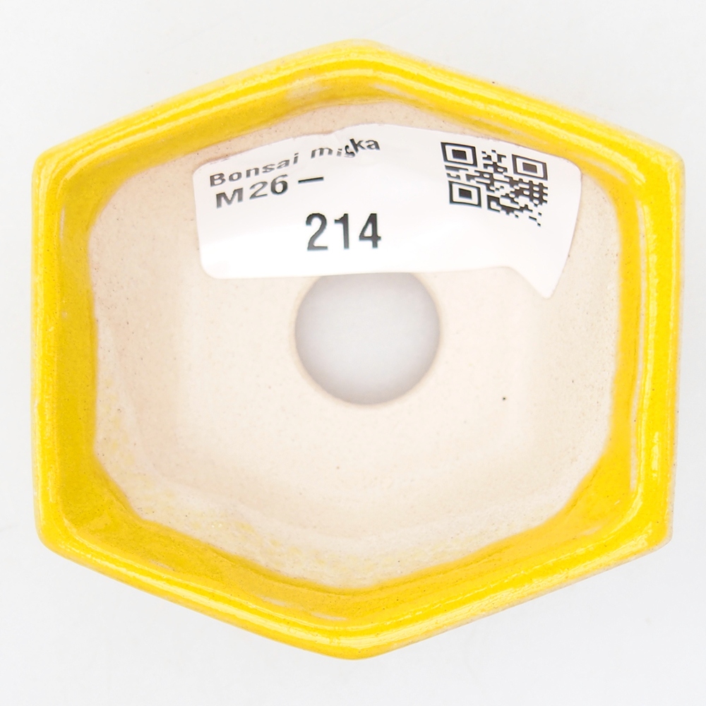 Mini bonsai 6 x 5,5 x 2,5 cm, giallo
