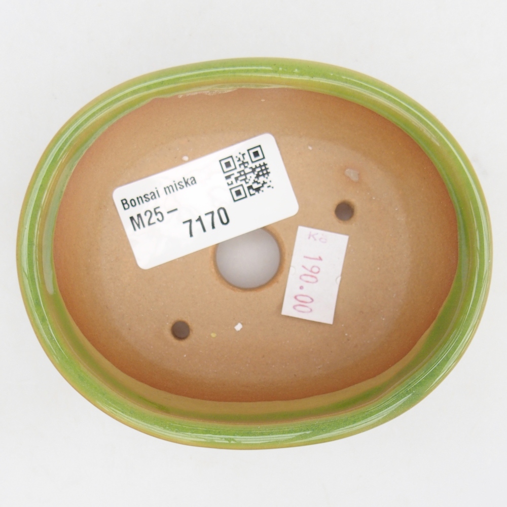 Ciotola bonsai in ceramica 26 x 26 x 8 cm, colore rosso