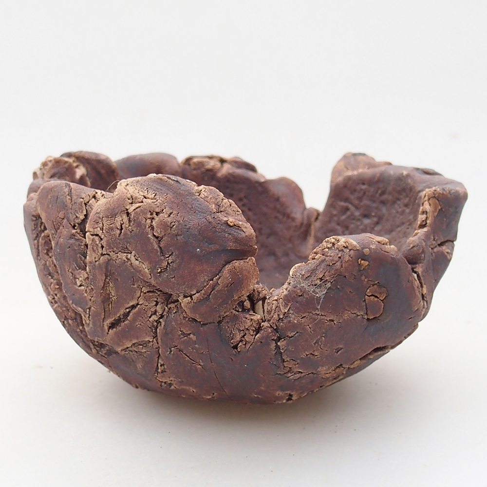 Conchiglia in ceramica 10 x 9 x 5,5 cm , colore marrone