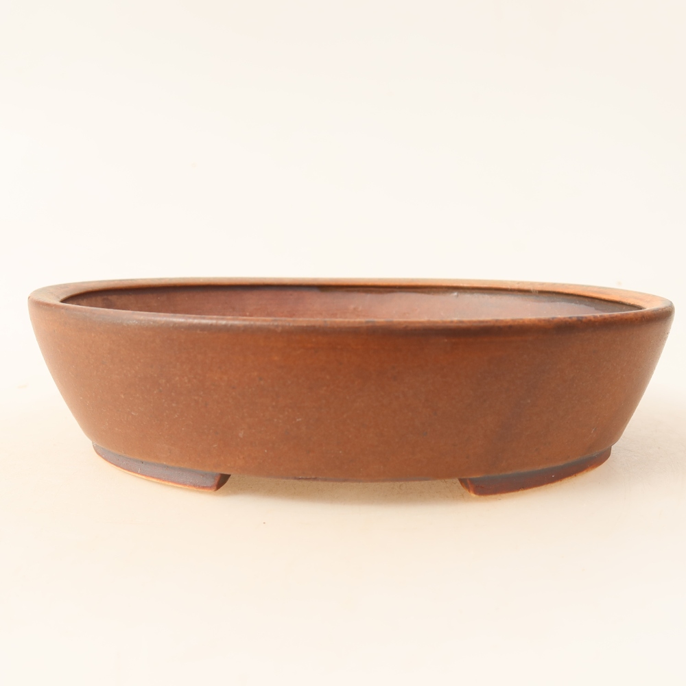 Ciotola per bonsai in ceramica 18,5 x 16,5 x 4,5 cm, marrone