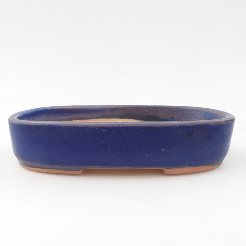 Ciotola bonsai in ceramica 16 x 11 x 3,5 cm, colore blu
