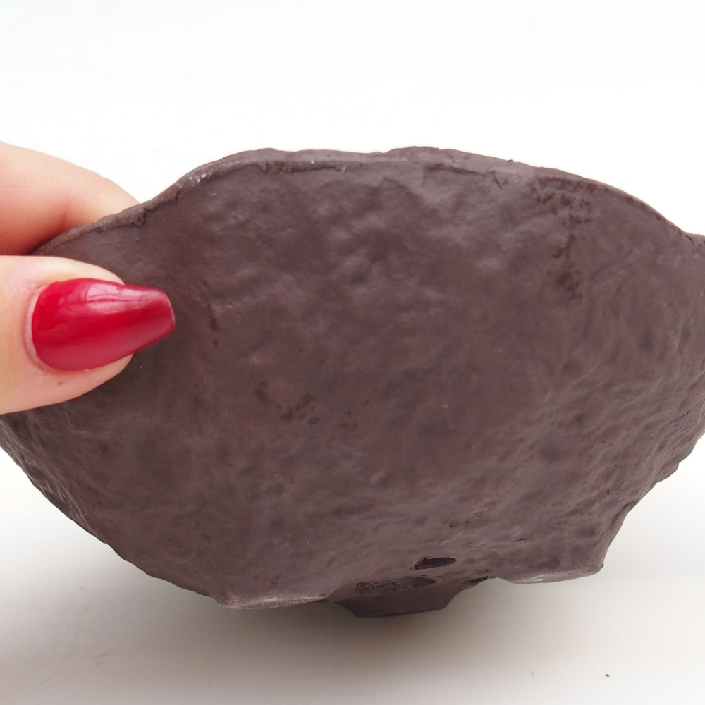 Conchiglia in ceramica 13 x 13 x 5,5 cm , colore marrone