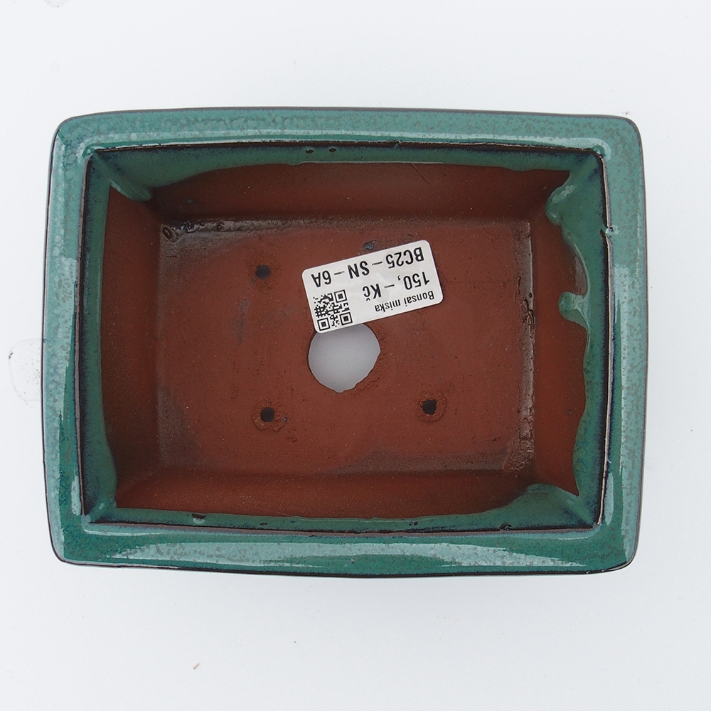 Ciotola 16 x 12,5 x 6,5 cm verde