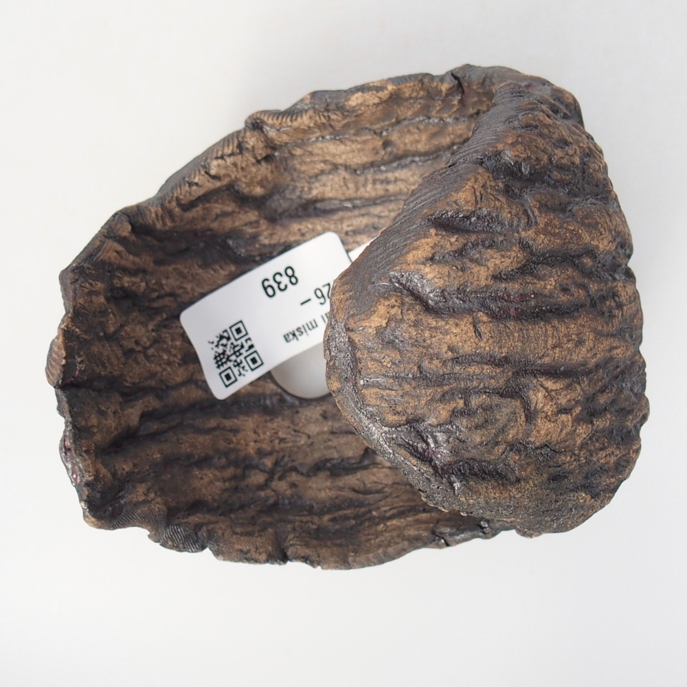 Conchiglia in ceramica 10 x 9 x 10 cm , colore marrone