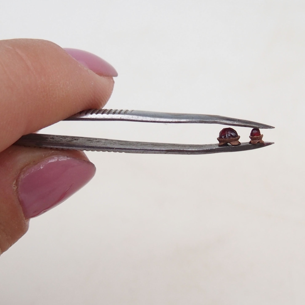 Suiseki - Pietra con DAI (base in legno)