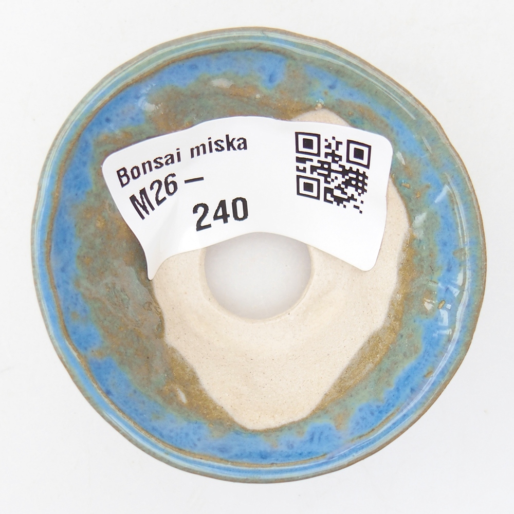 Mini bonsai 5,5 x 5,5 x 2,5 cm, colore blu