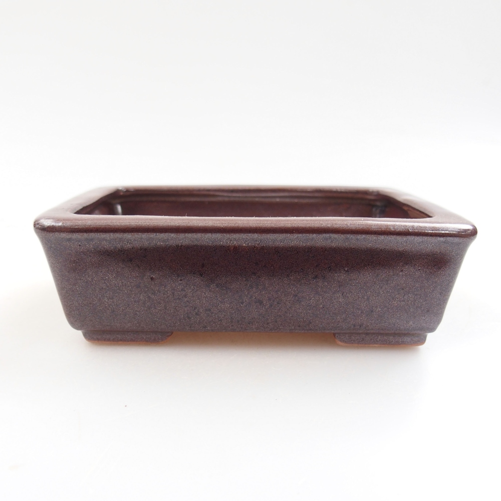 Ciotola bonsai in ceramica 22 x 17 x 5 cm, verde