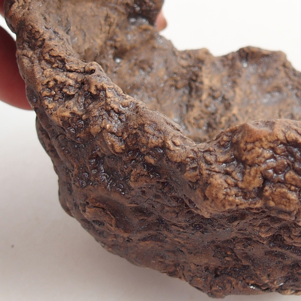 Conchiglia in ceramica 10 x 9 x 9 cm , colore marrone