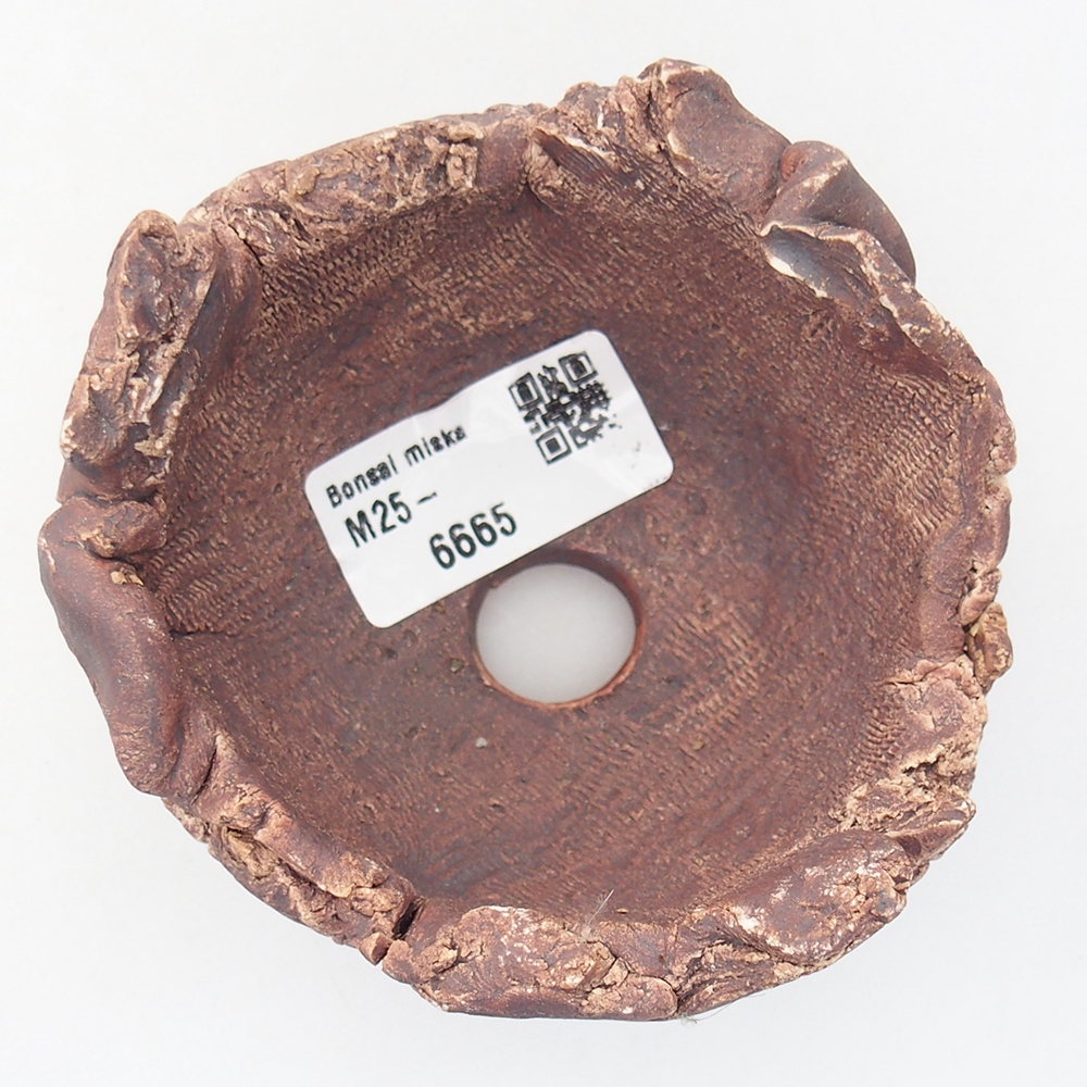 Conchiglia in ceramica 9,5 x 9 x 7 cm , colore marrone